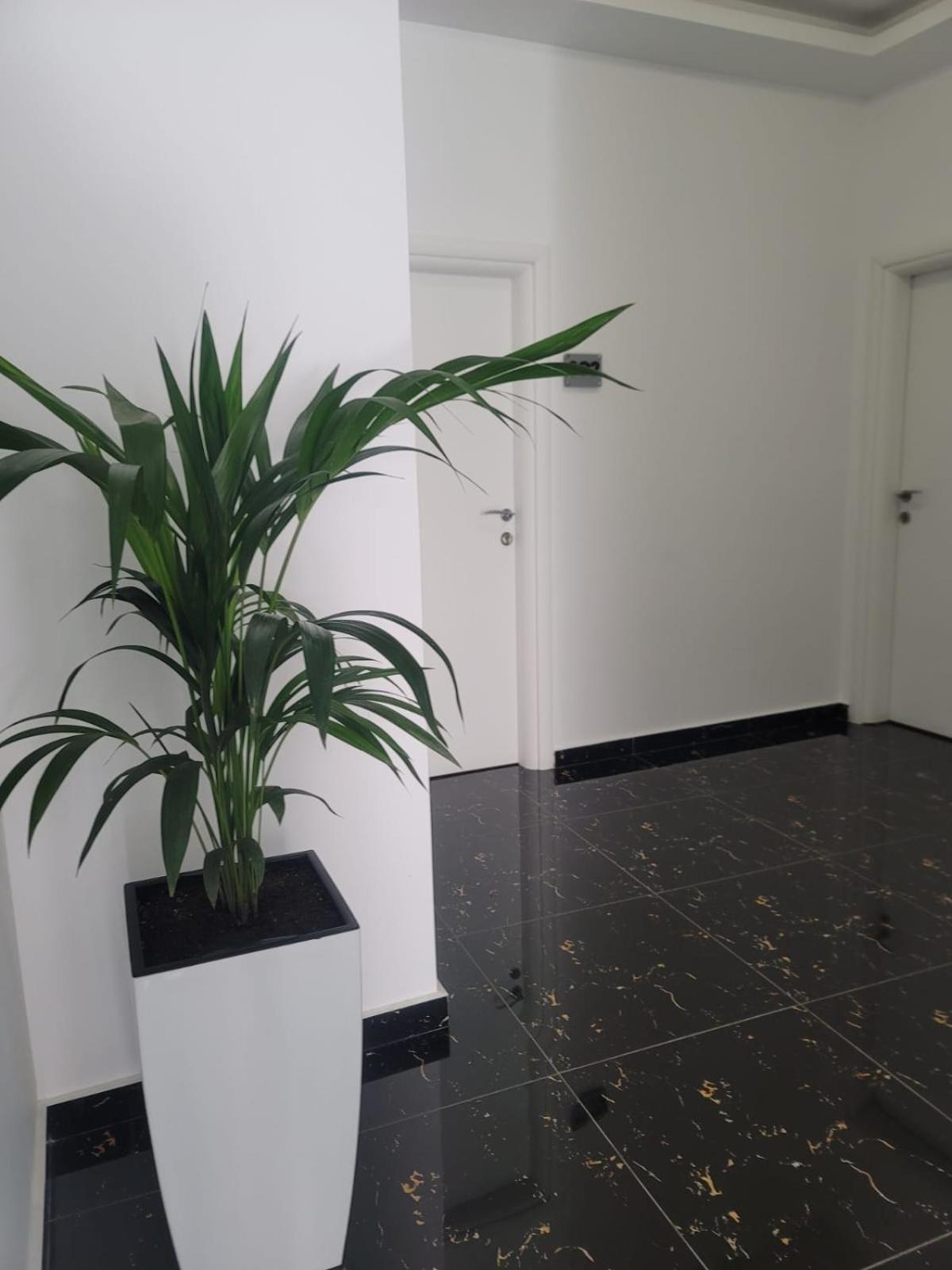 Hotel Myrtai - City Center ساراندا المظهر الخارجي الصورة